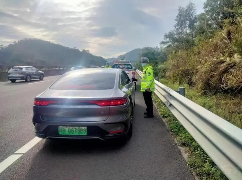 ʮһ·ϵġ (g)(g)Ϥ