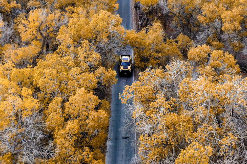 山海炮性能版28.98萬(wàn)元正式開啟全國(guó)預(yù)售 山海炮性能版28.98萬(wàn)元正式開啟全國(guó)預(yù)售