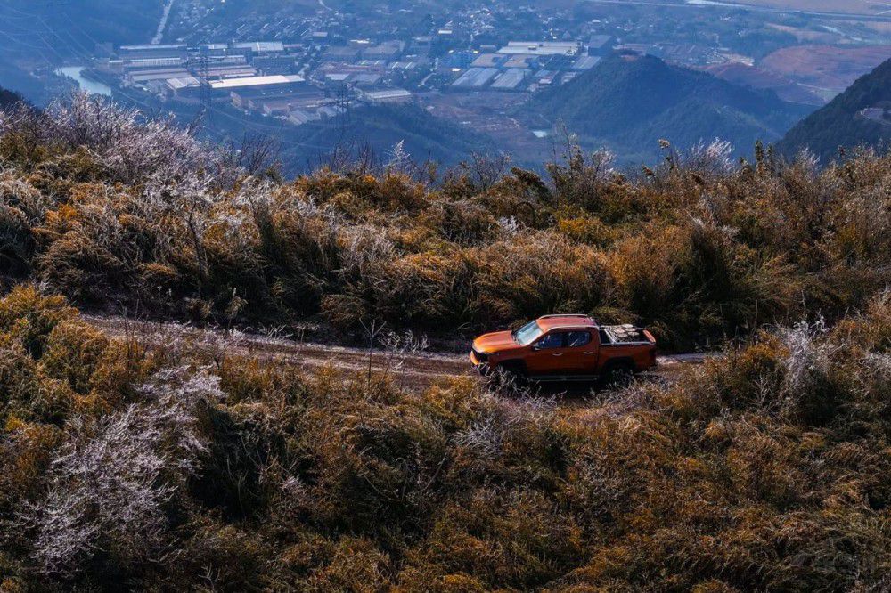 LCA(y)_A(y)ۃr13.99fԪ