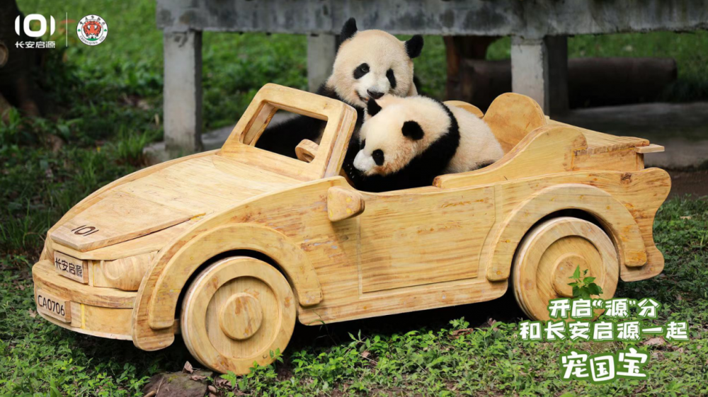 ؈̰֡L(zhng)ԴڰʲôO(sh)