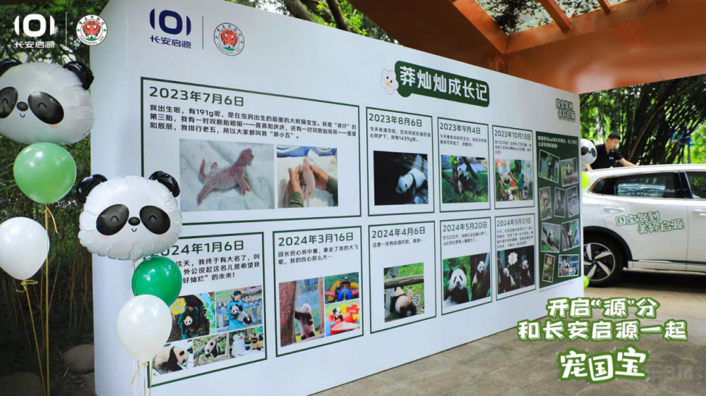 ؈̰֡L(zhng)ԴڰʲôO(sh)