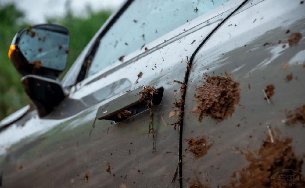 ܇(ch)vȫԣI(lng)07 EM-PáOޡC