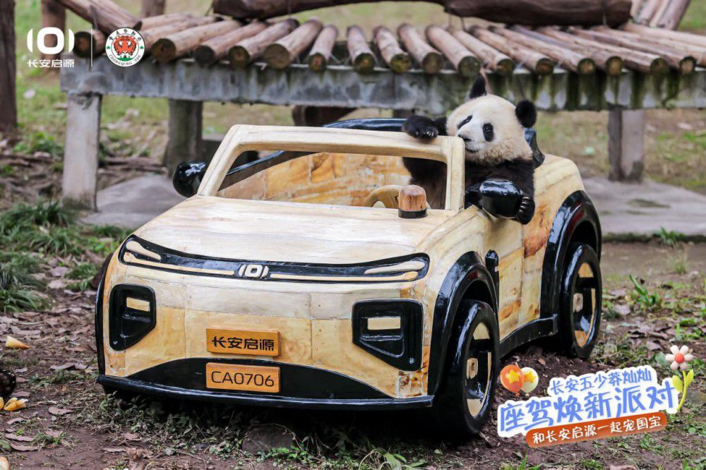 長(zhǎng)安五少莽燦燦換新座駕 長(zhǎng)安啟源寵國(guó)寶 長(zhǎng)安五少莽燦燦換新座駕 長(zhǎng)安啟源寵國(guó)寶