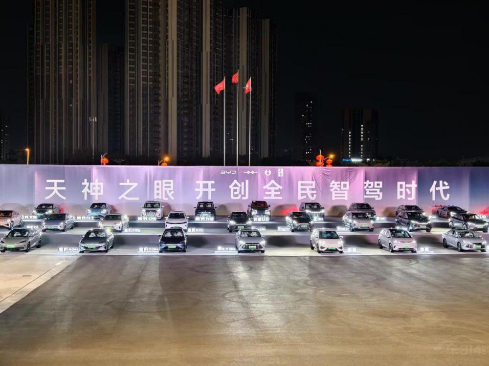 2025年的車市 要么依附強者要么成為強者 2025年的車市 要么依附強者要么成為強者