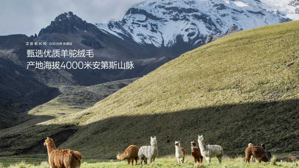 ۃr(ji)89.90fԪO009ʽ