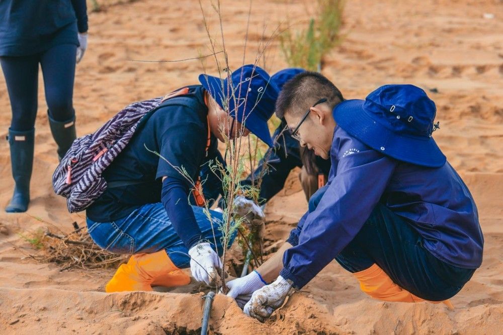 Խ֮̽U(xin)߄(chung)ȫ(chng)¼o(j)Ԫ