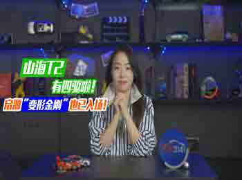 ɽT2(q)Դ桰׃νſ