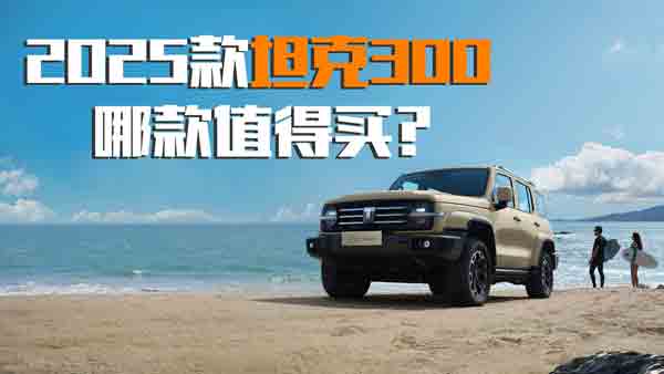 3犎㿴2025̹300ĿֵI